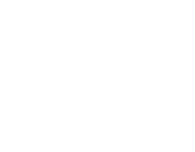 Bar Salon Alhambra