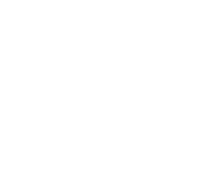 Pub Pirata